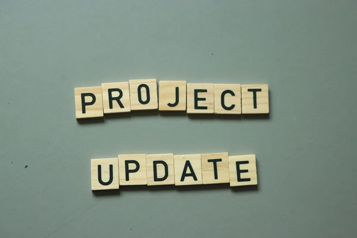 project timeline with working days marked