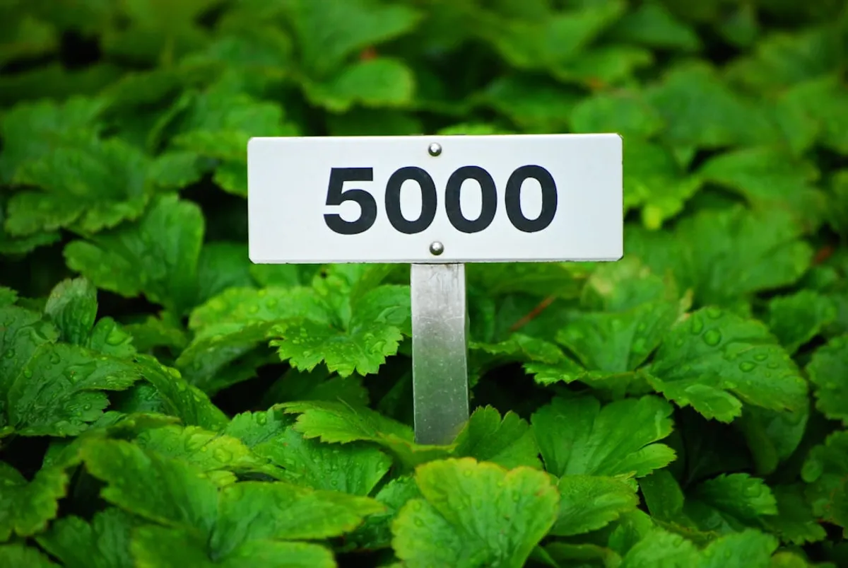 worker reviewing 50000 annual salary breakdown